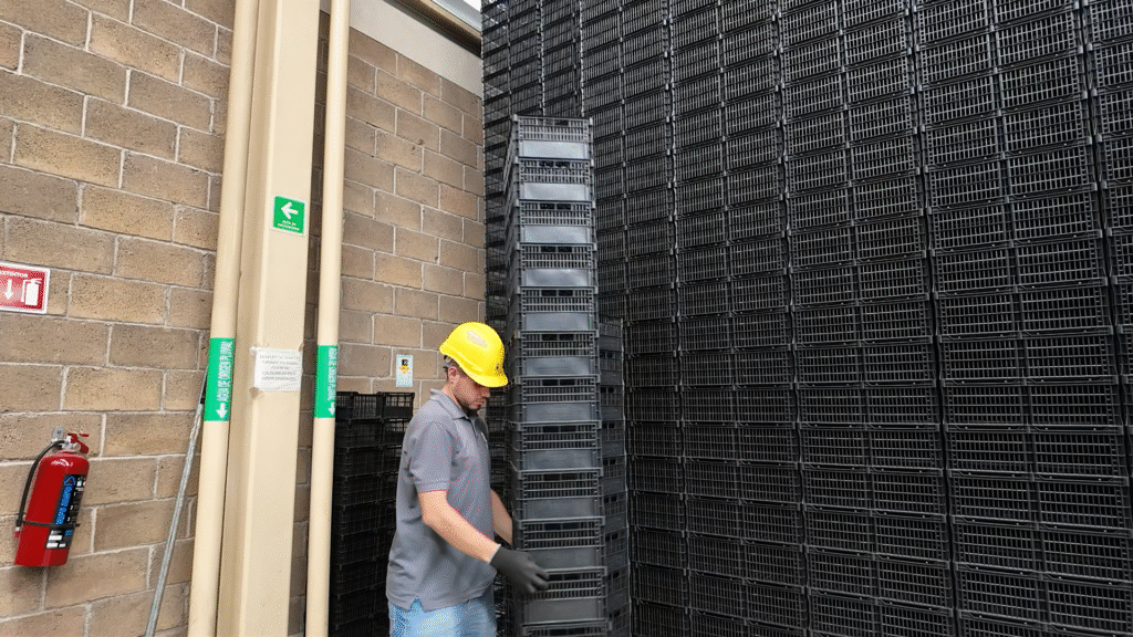Mesa de trabajo 2